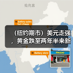 (纽约期市)美元走强,黄金跌至两年半来新低(图4) (纽约期市)美元走强,黄金跌至两年半来新低(图4)