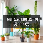 金川公司将镍出厂价下调5000元（图1）