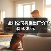 金川公司将镍出厂价下调5000元（图3）