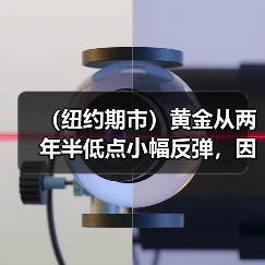(纽约期市)黄金从两年半低点小幅反弹,因美元涨势降温(图4) (纽约期市)黄金从两年半低点小幅反弹,因美元涨势降温(图4)