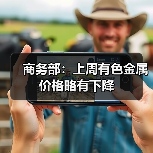 商务部:上周有色金属价格略有下降(图1) 商务部:上周有色金属价格略有下降(图1)