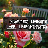 (伦敦金属)LME期铜上涨,LME讨论俄罗斯金属禁令引发上涨(图1) (伦敦金属)LME期铜上涨,LME讨论俄罗斯金属禁令引发上涨(图1)