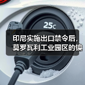 印尼实施出口禁令后,莫罗瓦利工业园区的镍矿投资翻两番(图4) 印尼实施出口禁令后,莫罗瓦利工业园区的镍矿投资翻两番(图4)