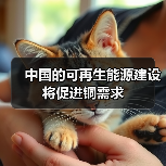 中国的可再生能源建设将促进铜需求(图2) 中国的可再生能源建设将促进铜需求(图2)