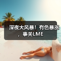 深夜大风暴!有色暴涨,事关LME(图2) 深夜大风暴!有色暴涨,事关LME(图2)