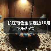 长江有色金属现货10月10日行情(图4) 长江有色金属现货10月10日行情(图4)