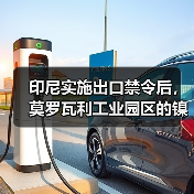 印尼实施出口禁令后,莫罗瓦利工业园区的镍矿投资翻两番(图2) 印尼实施出口禁令后,莫罗瓦利工业园区的镍矿投资翻两番(图2)