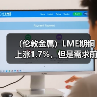 (伦敦金属)LME期铜上涨1.7%,但是需求前景阴云密布(图4) (伦敦金属)LME期铜上涨1.7%,但是需求前景阴云密布(图4)