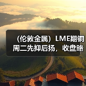 (伦敦金属)LME期铜周二先抑后扬,收盘略有上涨(图2) (伦敦金属)LME期铜周二先抑后扬,收盘略有上涨(图2)