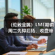 (伦敦金属)LME期铜周二先抑后扬,收盘略有上涨(图3) (伦敦金属)LME期铜周二先抑后扬,收盘略有上涨(图3)