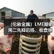 (伦敦金属)LME期铜周二先抑后扬,收盘略有上涨(图1) (伦敦金属)LME期铜周二先抑后扬,收盘略有上涨(图1)