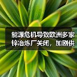 能源危机导致欧洲多家锌冶炼厂关闭,加剧供应紧张(图2) 能源危机导致欧洲多家锌冶炼厂关闭,加剧供应紧张(图2)