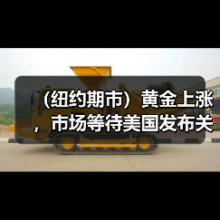 (纽约期市)黄金上涨,市场等待美国发布关键通胀数据(图3) (纽约期市)黄金上涨,市场等待美国发布关键通胀数据(图3)