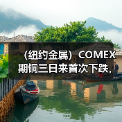 （纽约金属）COMEX期铜三日来首次下跌，基准合约收低1%（图3）