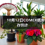 10月12日COMEX铜库存统计（图1）