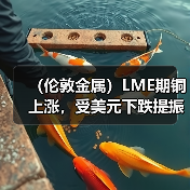 (伦敦金属)LME期铜上涨,受美元下跌提振,铝价因俄铝禁令威胁而走高(图4) (伦敦金属)LME期铜上涨,受美元下跌提振,铝价因俄铝禁令威胁而走高(图4)