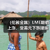 (伦敦金属)LME期铜上涨,受美元下跌提振,铝价因俄铝禁令威胁而走高(图1) (伦敦金属)LME期铜上涨,受美元下跌提振,铝价因俄铝禁令威胁而走高(图1)