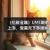 (伦敦金属)LME期铜上涨,受美元下跌提振,铝价因俄铝禁令威胁而走高(图2) (伦敦金属)LME期铜上涨,受美元下跌提振,铝价因俄铝禁令威胁而走高(图2)