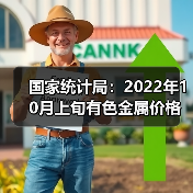 国家统计局:2022年10月上旬有色金属价格上涨(图3) 国家统计局:2022年10月上旬有色金属价格上涨(图3)