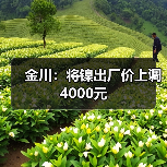 金川：将镍出厂价上调4000元（图4）