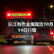 长江有色金属现货10月14日行情(图1) 长江有色金属现货10月14日行情(图1)