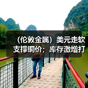 (伦敦金属)美元走软支撑铜价;库存激增打压铝价下跌(图2) (伦敦金属)美元走软支撑铜价;库存激增打压铝价下跌(图2)