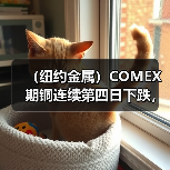 (纽约金属)COMEX期铜连续第四日下跌,基准合约收低1.3%(图2) (纽约金属)COMEX期铜连续第四日下跌,基准合约收低1.3%(图2)