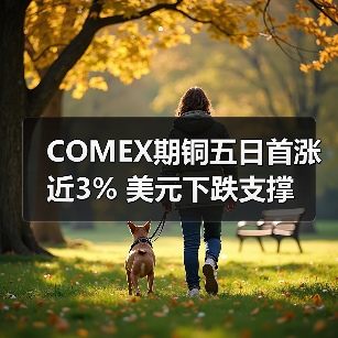 COMEX期铜五日首涨近3% 美元下跌支撑(图3) COMEX期铜五日首涨近3% 美元下跌支撑(图3)