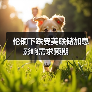 伦铜下跌受美联储加息影响需求预期(图4) 伦铜下跌受美联储加息影响需求预期(图4)