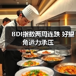 BDI指数两周连跌 好望角运力承压(图1) BDI指数两周连跌 好望角运力承压(图1)