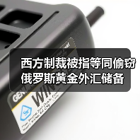 西方制裁被指等同偷窃俄罗斯黄金外汇储备（图3）