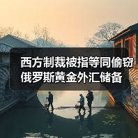 西方制裁被指等同偷窃俄罗斯黄金外汇储备（图1）