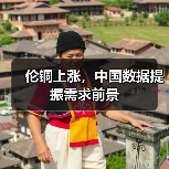 伦铜上涨,中国数据提振需求前景(图2) 伦铜上涨,中国数据提振需求前景(图2)