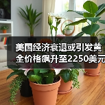 美国经济衰退或引发黄金价格飙升至2250美元（图1）