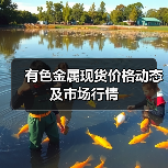 有色金属现货价格动态及市场行情(图2) 有色金属现货价格动态及市场行情(图2)