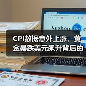 CPI数据意外上涨,黄金暴跌美元飙升背后的加息预期(图3) CPI数据意外上涨,黄金暴跌美元飙升背后的加息预期(图3)