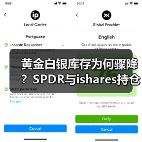 黄金白银库存为何骤降？SPDR与ishares持仓大减（图4）