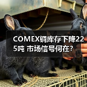 COMEX铜库存下降225吨 市场信号何在？（图4）