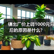 镍出厂价上调1000元背后的原因是什么？（图3）
