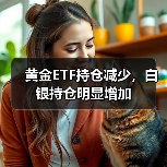 黄金ETF持仓减少，白银持仓明显增加（图3）