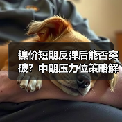 镍价短期反弹后能否突破?中期压力位策略解析(图2) 镍价短期反弹后能否突破?中期压力位策略解析(图2)