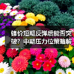 镍价短期反弹后能否突破?中期压力位策略解析(图1) 镍价短期反弹后能否突破?中期压力位策略解析(图1)