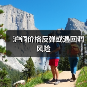 沪铜价格反弹或遇回调风险(图2) 沪铜价格反弹或遇回调风险(图2)