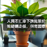 人民币汇率下跌拖累伦敦期铜走低,供需因素成关键(图4) 人民币汇率下跌拖累伦敦期铜走低,供需因素成关键(图4)