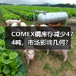 COMEX铜库存减少474吨，市场影响几何？（图3）
