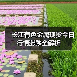 长江有色金属现货今日行情涨跌全解析(图4) 长江有色金属现货今日行情涨跌全解析(图4)