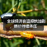 全球经济衰退担忧加剧，铜价持续承压（图4）