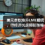 美元走软推升LME期铜,但经济忧虑抑制涨幅(图2) 美元走软推升LME期铜,但经济忧虑抑制涨幅(图2)