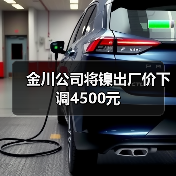 金川公司将镍出厂价下调4500元（图1）
