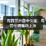 周四亚洲盘中快递:周四伦铜略微上涨(图2) 周四亚洲盘中快递:周四伦铜略微上涨(图2)